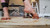 Jenni's Squish [Ground View]