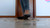 Flats Smush Flat 7 Proto