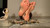 Inshoe Smash 2