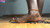 Kenyan Technical Krunch
