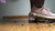 Snail Sneaker Smush