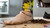 Sneaker Squisher - Part 2
