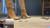 Boot Squish