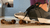 Snail Sneaker Squish