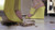 Wedges Smunch Part 1