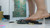 Inshoe Squish