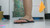 Inshoe Squish