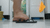 Inshoe Squish