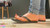 Inshoe Locusts