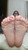 Alma's Soles