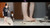 Katya's Roaches Dual View