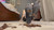No Show Squish 10