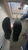 Underglass Boots