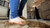 Tip Trample 2