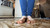 Tip Trample 2