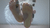 Underglass Smush 2