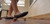 Flats Squash Flat 2