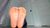 Scarlett's Feet