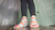 Woeful Wedges 3 [Crickets]