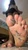 Cricket Culler 19