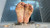Hisser Hegemony 29