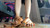 Barefoot Cruncher 12 [Part 2]