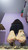 30 Minute Mushfest 2