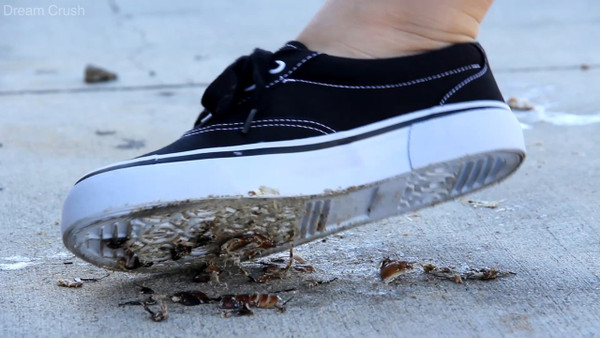 Smearing the Roaches