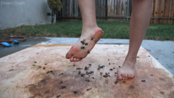 Bare Foot Panic