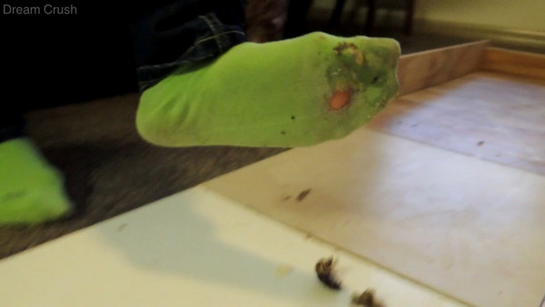 Green Socks
