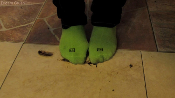 Green Socks II