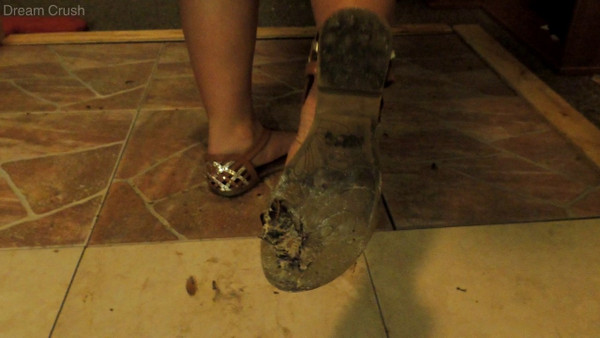 Her Brown Sandals