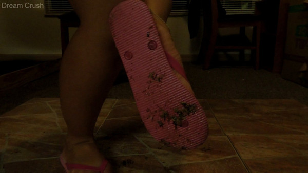 Pink Flip Flops