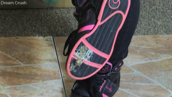 Sticky Sneakers