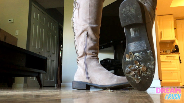 Suede Boots