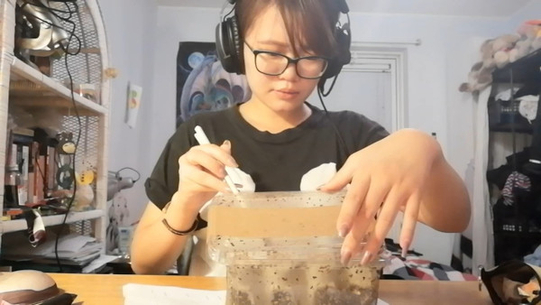 Reaving Nails