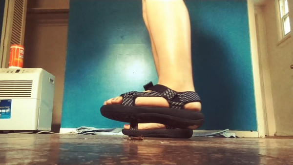 Soft Sandals