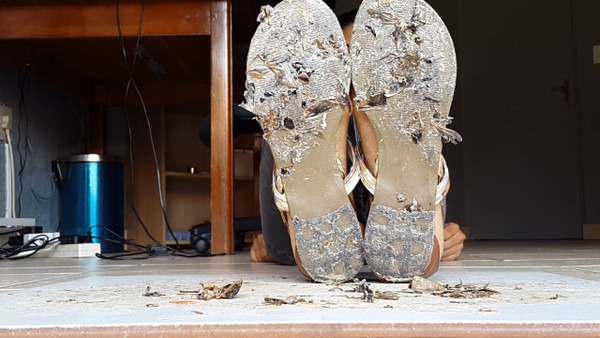 Sandal Smash III
