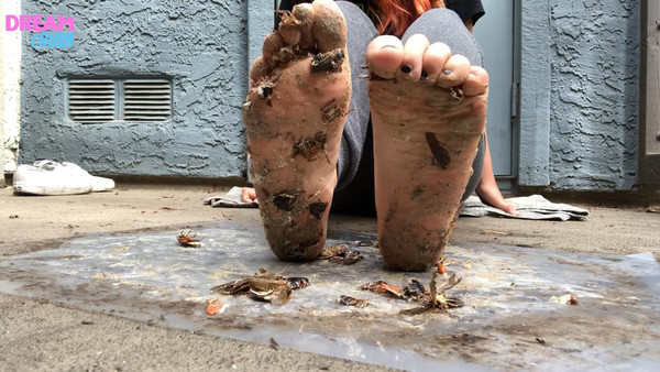Bothersome Bugs