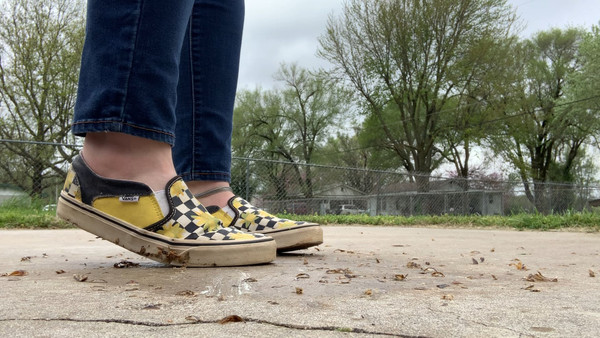 Vanquishing VANS 2