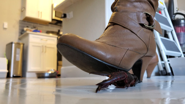 Boots Slow Crunch