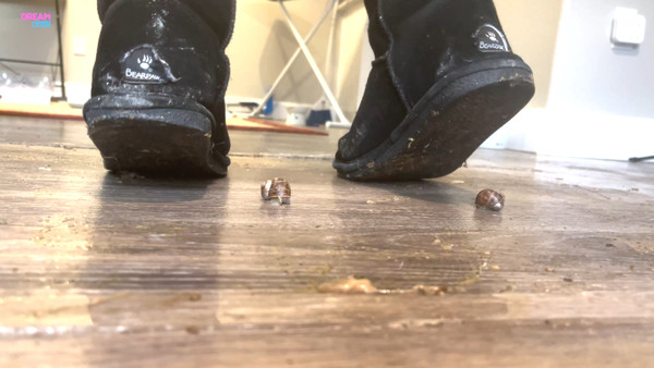 Snail Destructor