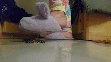 Slipper Smush 3