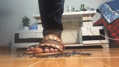 Sandal Squish 3
