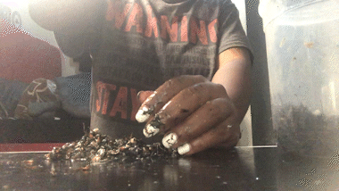 Fatal Fingers 3
