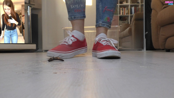 Vanquishing VANS 4