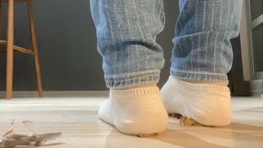 Locust Sock Crunch