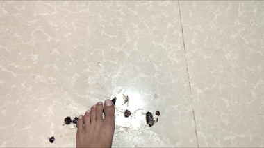 Top-Down Tread 3
