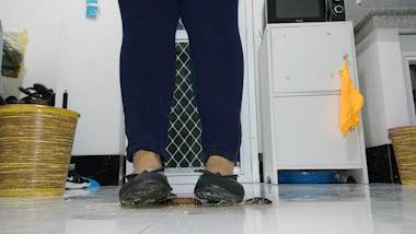 Flats Smush Flat 10