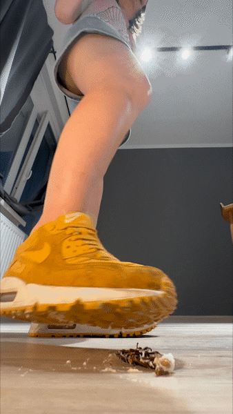 Orange Sneakers 2